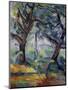 The Big Trees, C.1904-Paul Cézanne-Mounted Premium Giclee Print