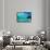 The big wave-Marco Carmassi-Framed Stretched Canvas displayed on a wall