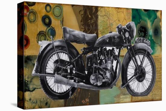 The Bike-Laura Van Horne-Stretched Canvas