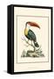 The Bill Bird-George Edwards-Framed Stretched Canvas
