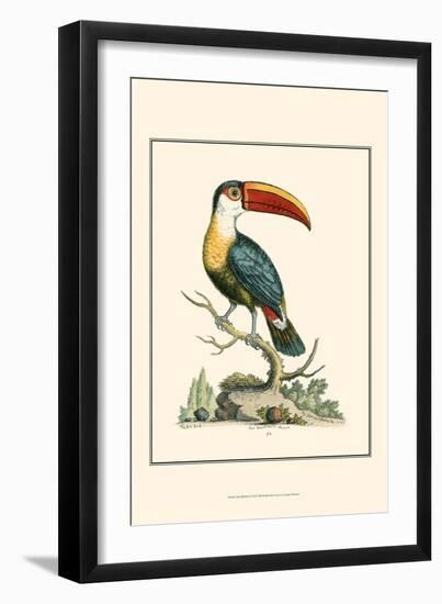 The Bill Bird-George Edwards-Framed Art Print