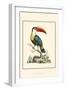The Bill Bird-George Edwards-Framed Art Print