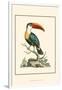 The Bill Bird-George Edwards-Framed Art Print