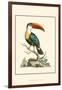 The Bill Bird-George Edwards-Framed Art Print