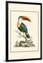 The Bill Bird-George Edwards-Framed Art Print