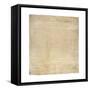 The Bill of Rights-null-Framed Stretched Canvas