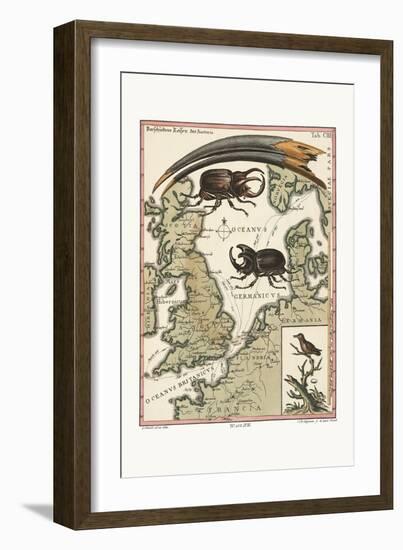 The Bill of the Aegyptian Ibis and the Least Hummingbird, 1749-73-George Edwards-Framed Giclee Print