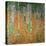The Birch Wood, 1903-Gustav Klimt-Stretched Canvas