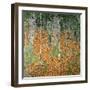 The Birch Wood, 1903-Gustav Klimt-Framed Premium Giclee Print