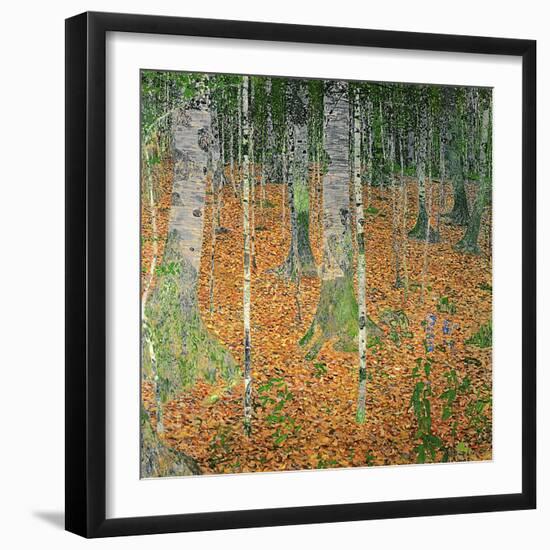 The Birch Wood, 1903-Gustav Klimt-Framed Giclee Print