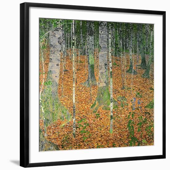 The Birch Wood, 1903-Gustav Klimt-Framed Giclee Print