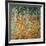 The Birch Wood, 1903-Gustav Klimt-Framed Giclee Print