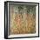 The Birch Wood-Gustav Klimt-Framed Giclee Print