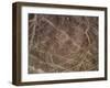 The Bird Geoglyph, aerial view, Nazca, UNESCO World Heritage Site, Ica Region, Peru, South America-Karol Kozlowski-Framed Photographic Print