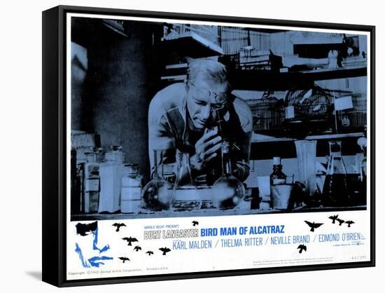 The Bird Man of Alcatraz, 1962-null-Framed Stretched Canvas