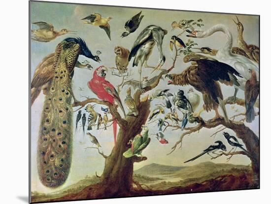 The Bird's Concert-Frans Snyders-Mounted Giclee Print