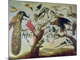 The Bird's Concert-Frans Snyders-Mounted Giclee Print