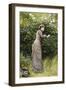 The Bird's Nest-Edward Killingworth Johnson-Framed Giclee Print