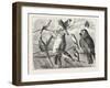 The Bird Show at the Crystal Palace, London, 1876, UK-null-Framed Giclee Print