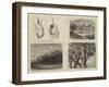 The Bird World of South Africa-null-Framed Giclee Print