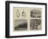 The Bird World of South Africa-null-Framed Premium Giclee Print