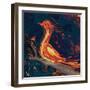 The Bird-Rabi Khan-Framed Art Print