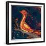 The Bird-Rabi Khan-Framed Art Print