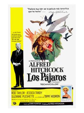 The Birds, (aka Los Pajaros), Alfred Hitchcock, Tippi Hedren, 1963