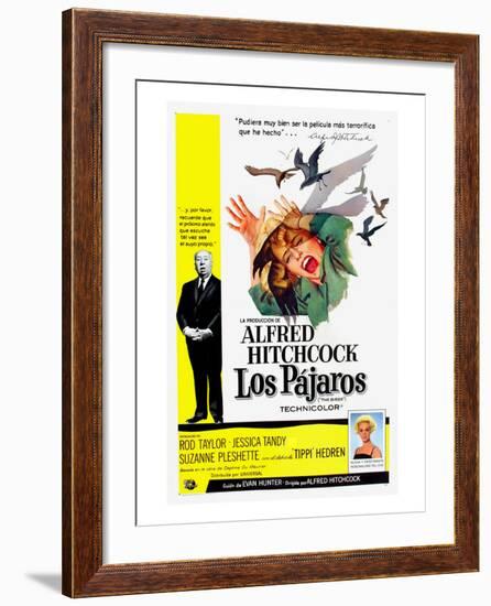 The Birds, (aka Los Pajaros), Alfred Hitchcock, Tippi Hedren, 1963-null-Framed Photo