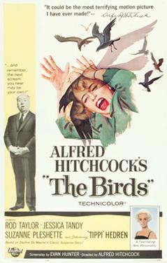 The Birds, Alfred Hitchcock, Jessica Tandy, Tippi Hedren, 1963