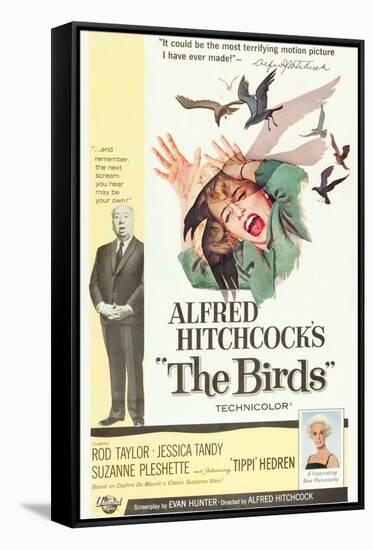 The Birds, Alfred Hitchcock, Jessica Tandy, Tippi Hedren, 1963-null-Framed Stretched Canvas