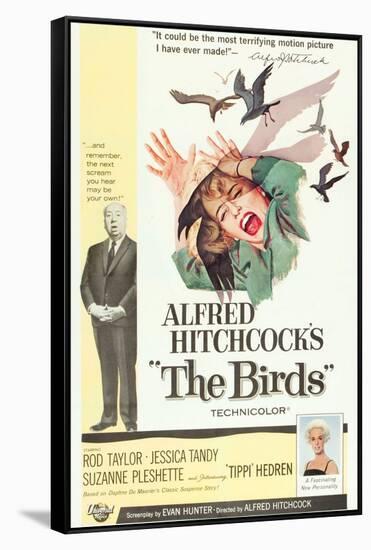 The Birds, Alfred Hitchcock, Jessica Tandy, Tippi Hedren, 1963-null-Framed Stretched Canvas
