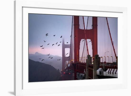 The Birds of the Golden Gate, Pelicans San Francisco-Vincent James-Framed Photographic Print