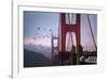 The Birds of the Golden Gate, Pelicans San Francisco-Vincent James-Framed Photographic Print