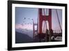 The Birds of the Golden Gate, Pelicans San Francisco-Vincent James-Framed Photographic Print
