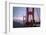 The Birds of the Golden Gate, Pelicans San Francisco-Vincent James-Framed Photographic Print