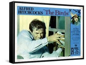 The Birds, Rod Taylor, 1963-null-Framed Stretched Canvas