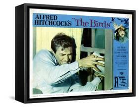 The Birds, Rod Taylor, 1963-null-Framed Stretched Canvas