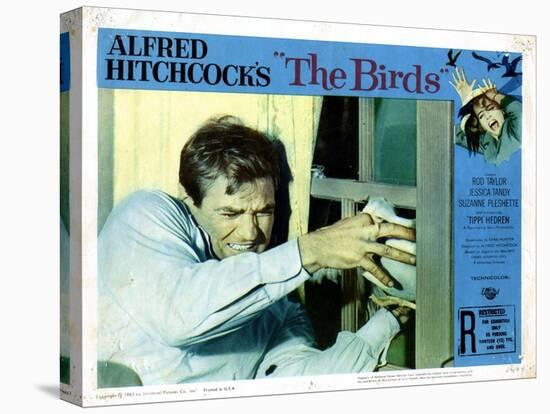 The Birds, Rod Taylor, 1963-null-Stretched Canvas