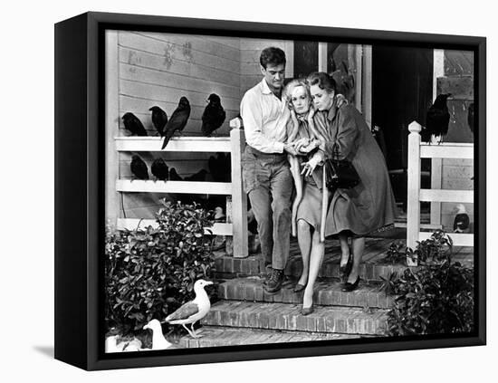 The Birds, Rod Taylor, Tippi Hedren, Jessica Tandy, 1963-null-Framed Stretched Canvas