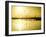 The Birds Standout Amongst the Glow of the Golden Hour on the California Coast-Daniel Kuras-Framed Photographic Print
