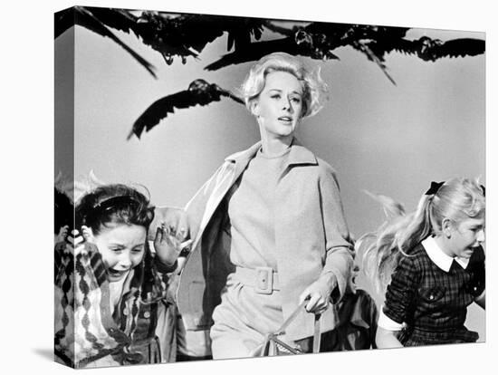 The Birds, Tippi Hedren, 1963-null-Stretched Canvas