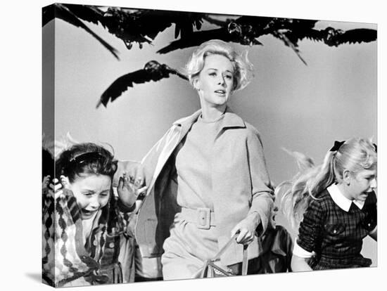 The Birds, Tippi Hedren, 1963-null-Stretched Canvas