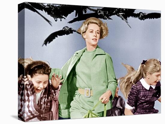 The Birds, Tippi Hedren, 1963-null-Stretched Canvas