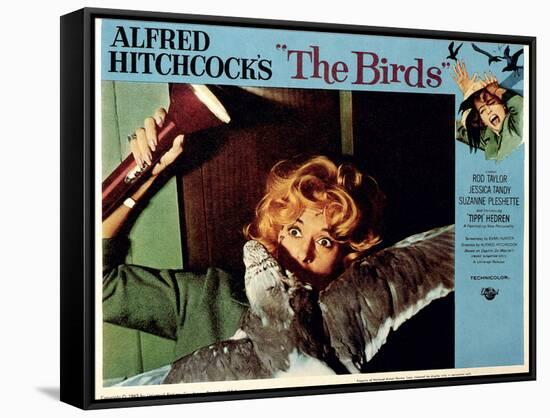 The Birds, Tippi Hedren, 1963-null-Framed Stretched Canvas