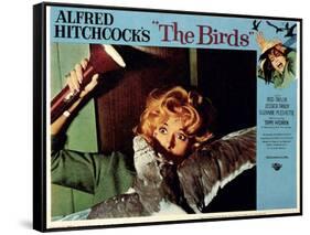 The Birds, Tippi Hedren, 1963-null-Framed Stretched Canvas