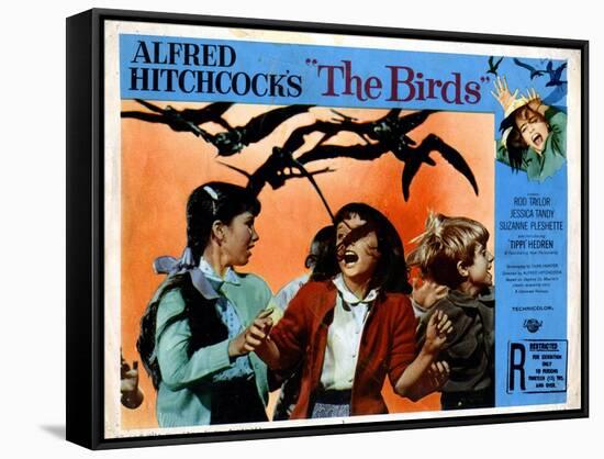 The Birds, Veronica CArtwright, 1963-null-Framed Stretched Canvas