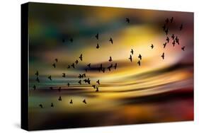 The Birds-Ursula Abresch-Stretched Canvas