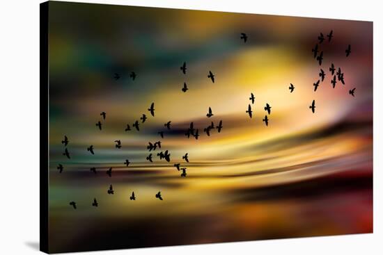 The Birds-Ursula Abresch-Stretched Canvas