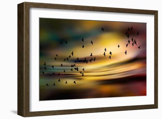 The Birds-Ursula Abresch-Framed Photographic Print